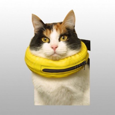 le collier lune chat le collier lune chat