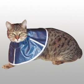 chat collier lune chat collier lune