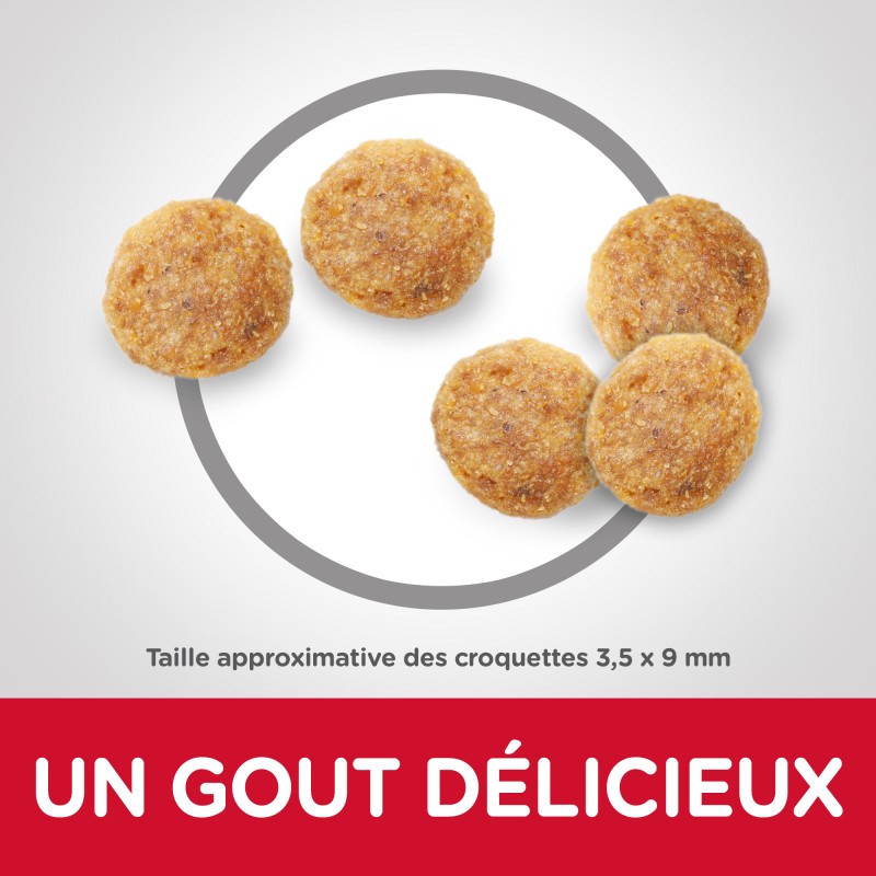 HILL'S SCIENCE PLAN CHAT Adult Sensitive Stomach & Skin - Sac de 1.5 kg - 10 Petits Zèbres